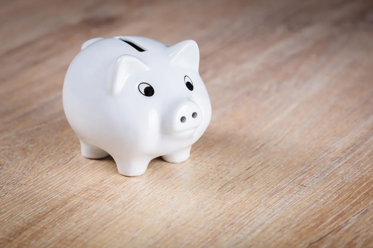 Piggy bank, save up, piggy