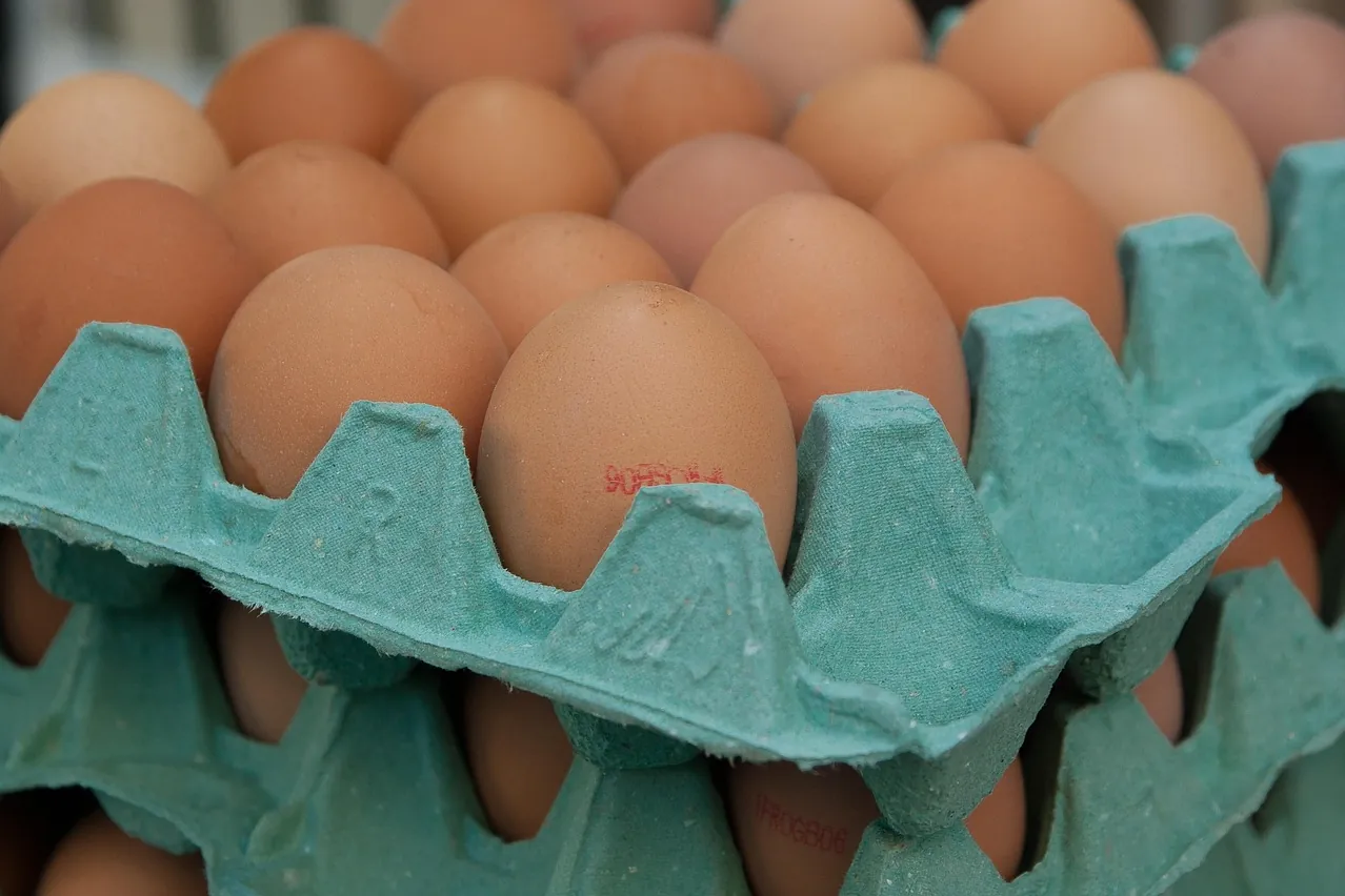Eggs, market, hens