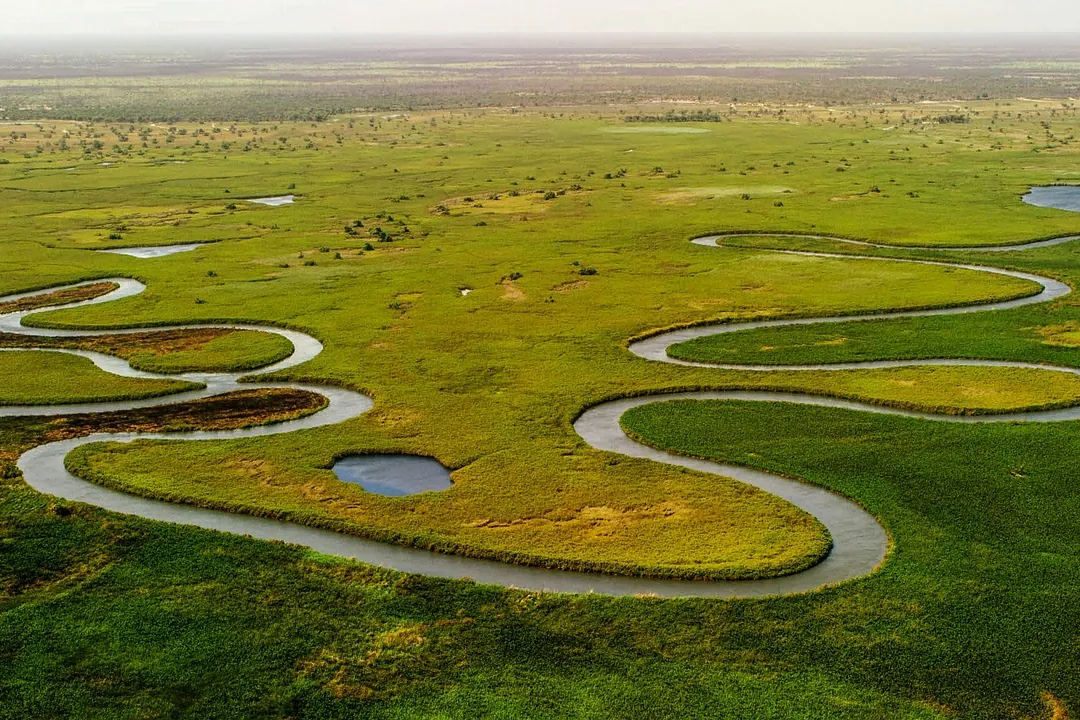 Okavango delta, river, landscape