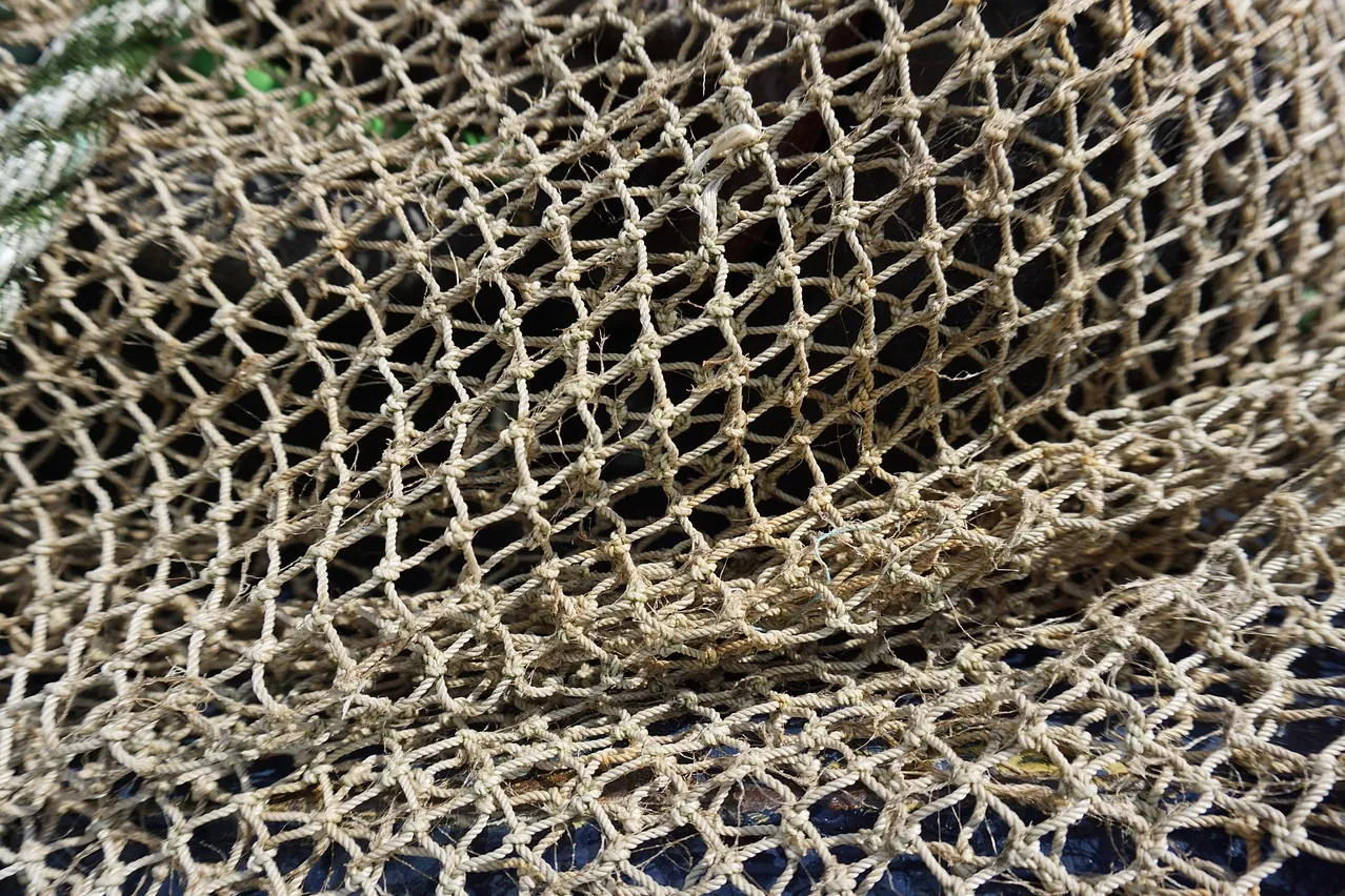 Fishing net, net, woven