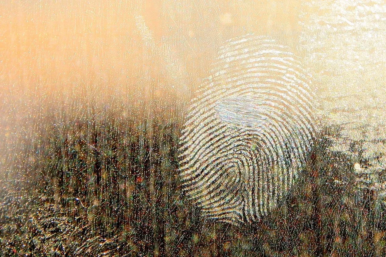 Dirt, dirty, fingerprints